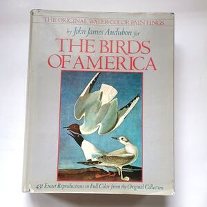 The Original Water-Color Paintings by John James Audubon The Birds of America HC